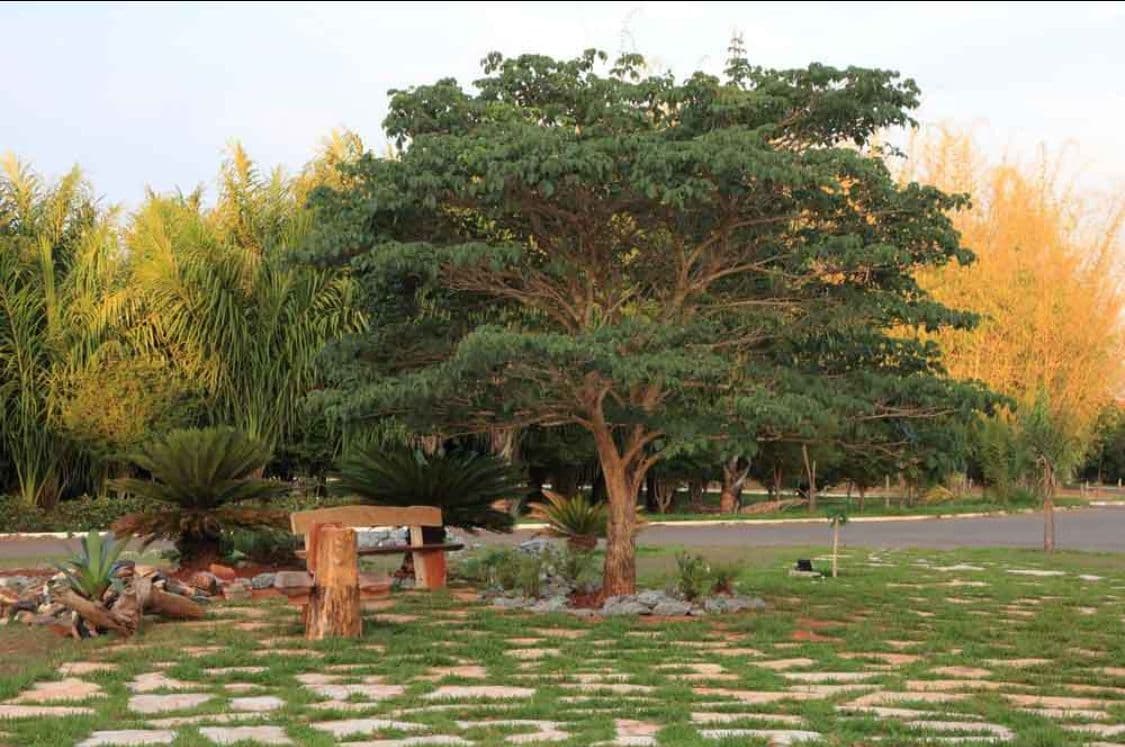 Área em Terezópolis de Goiás