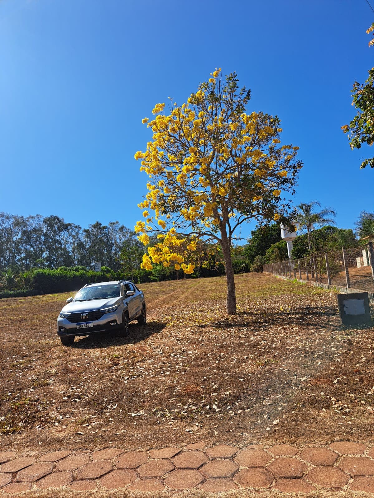 Área no Sitio de Recreio Paraiso Tropical