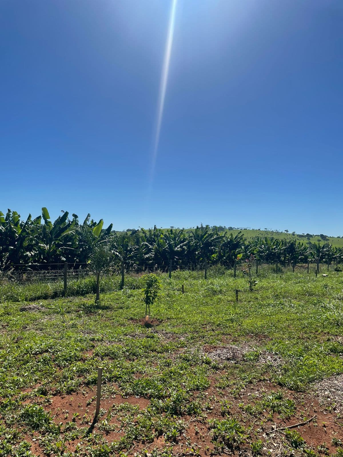 Chácara em Ouro Verde