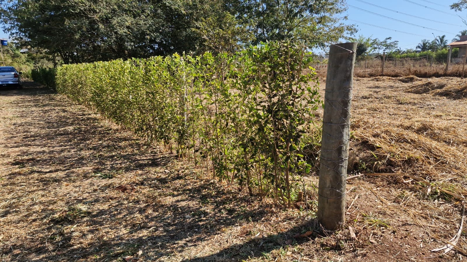 Terreno - Condomínio de Chácaras Terra Santa codigo: 71598