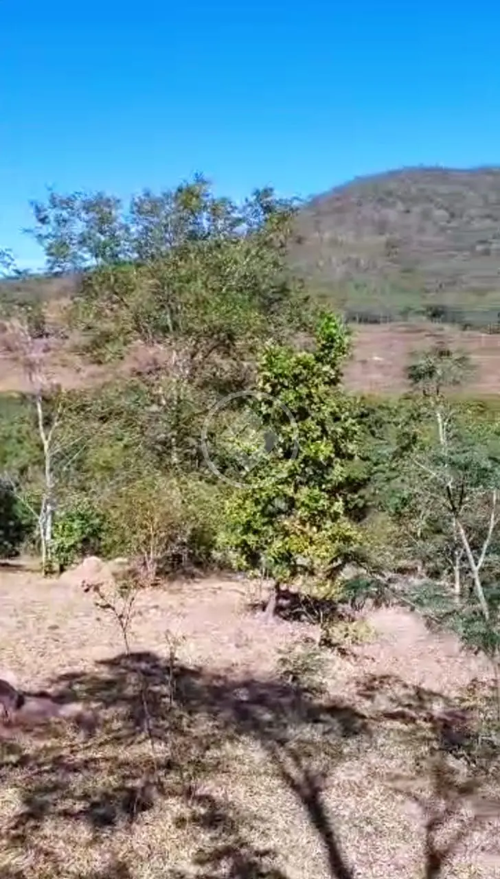 FAZENDA EM Pirenópolis codigo: 77254