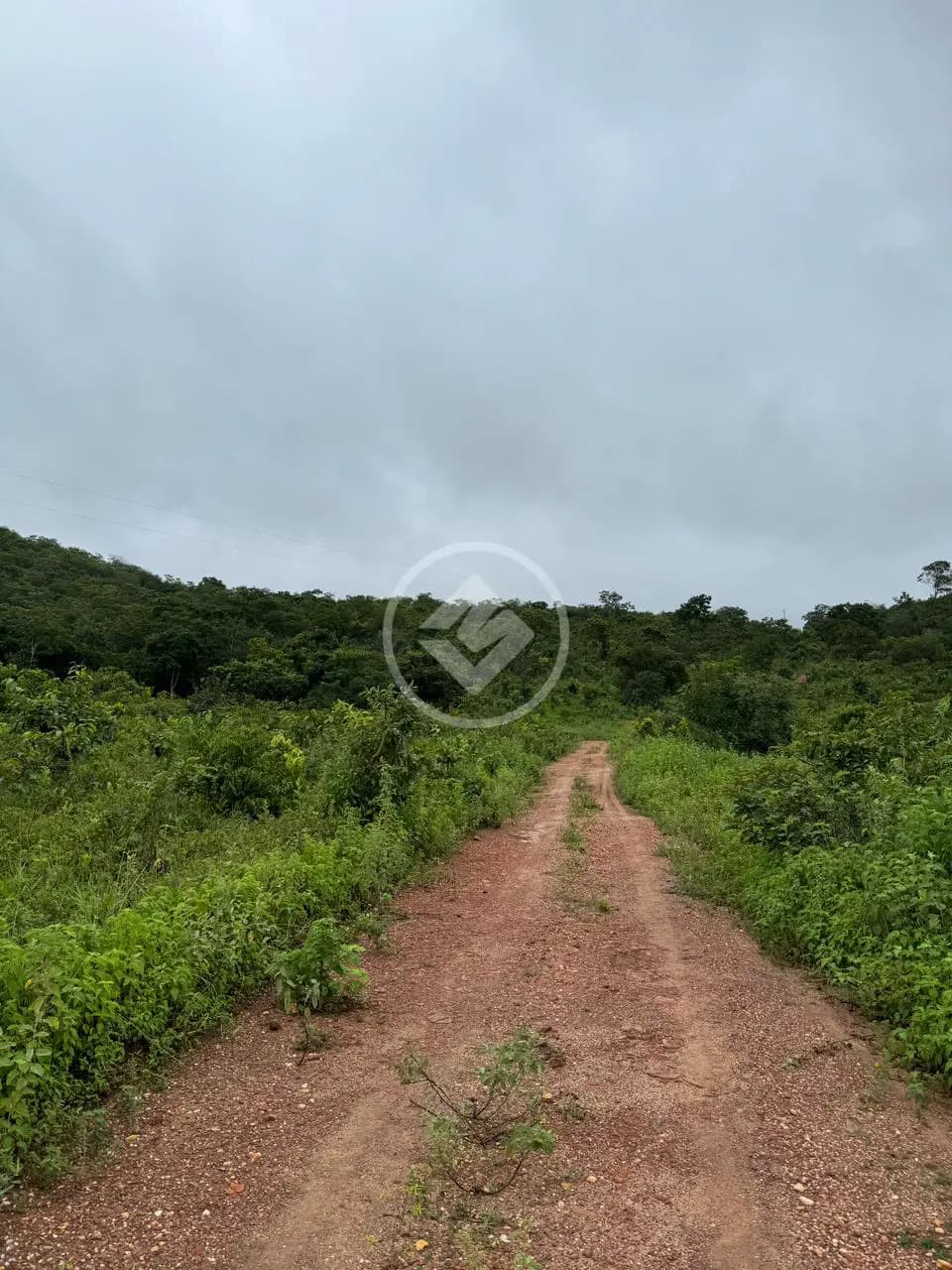 FAZENDA EM Pirenópolis codigo: 77254