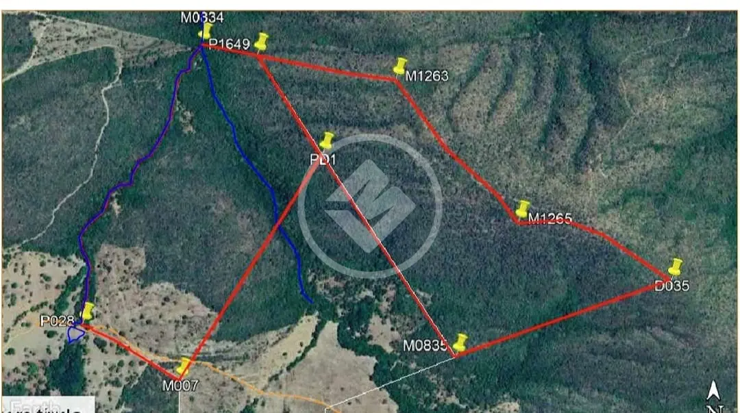FAZENDA EM Pirenópolis codigo: 77254
