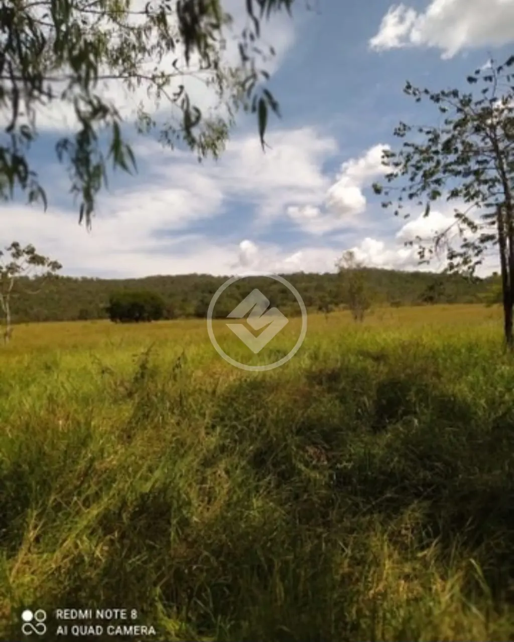 FAZENDA de 36.1 ALQUEIRES  MUNICÍPIO DE SÃO MIGUEL DE PASSA QUATRO codigo: 94549