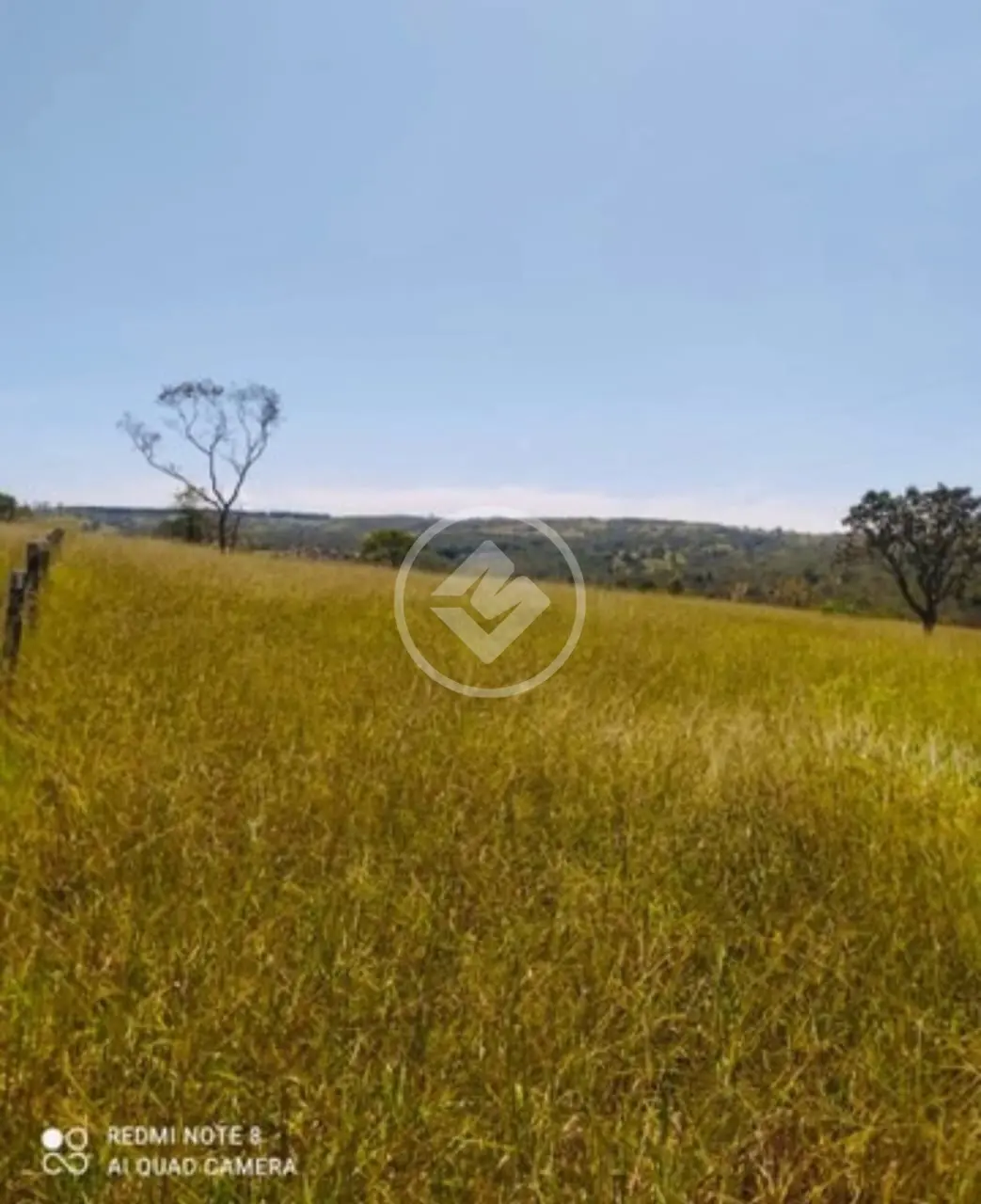 FAZENDA de 36.1 ALQUEIRES  MUNICÍPIO DE SÃO MIGUEL DE PASSA QUATRO codigo: 94549