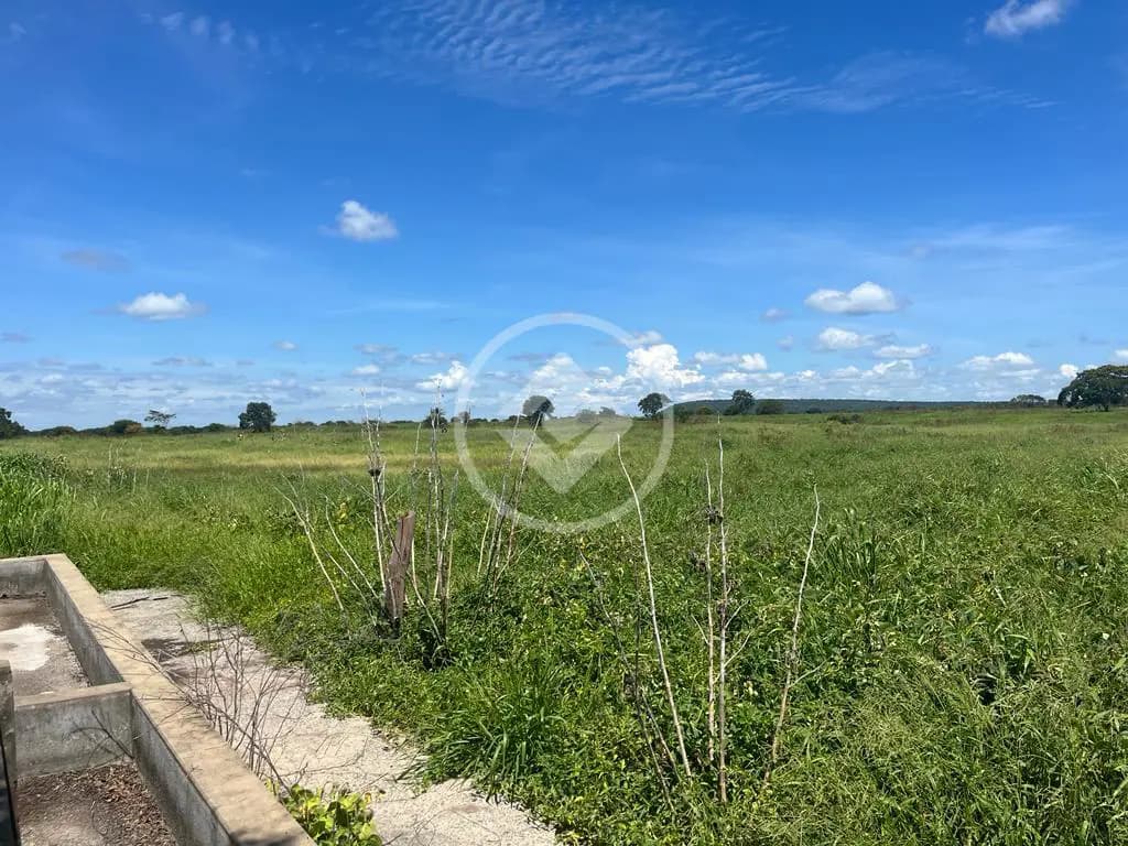Fazenda Rompe Gibão - Próximo a Jaiba MG codigo: 89579