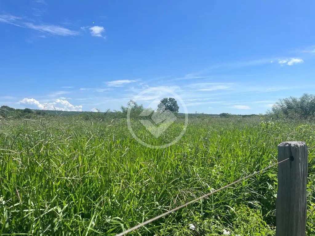 Fazenda Rompe Gibão - Próximo a Jaiba MG codigo: 89579