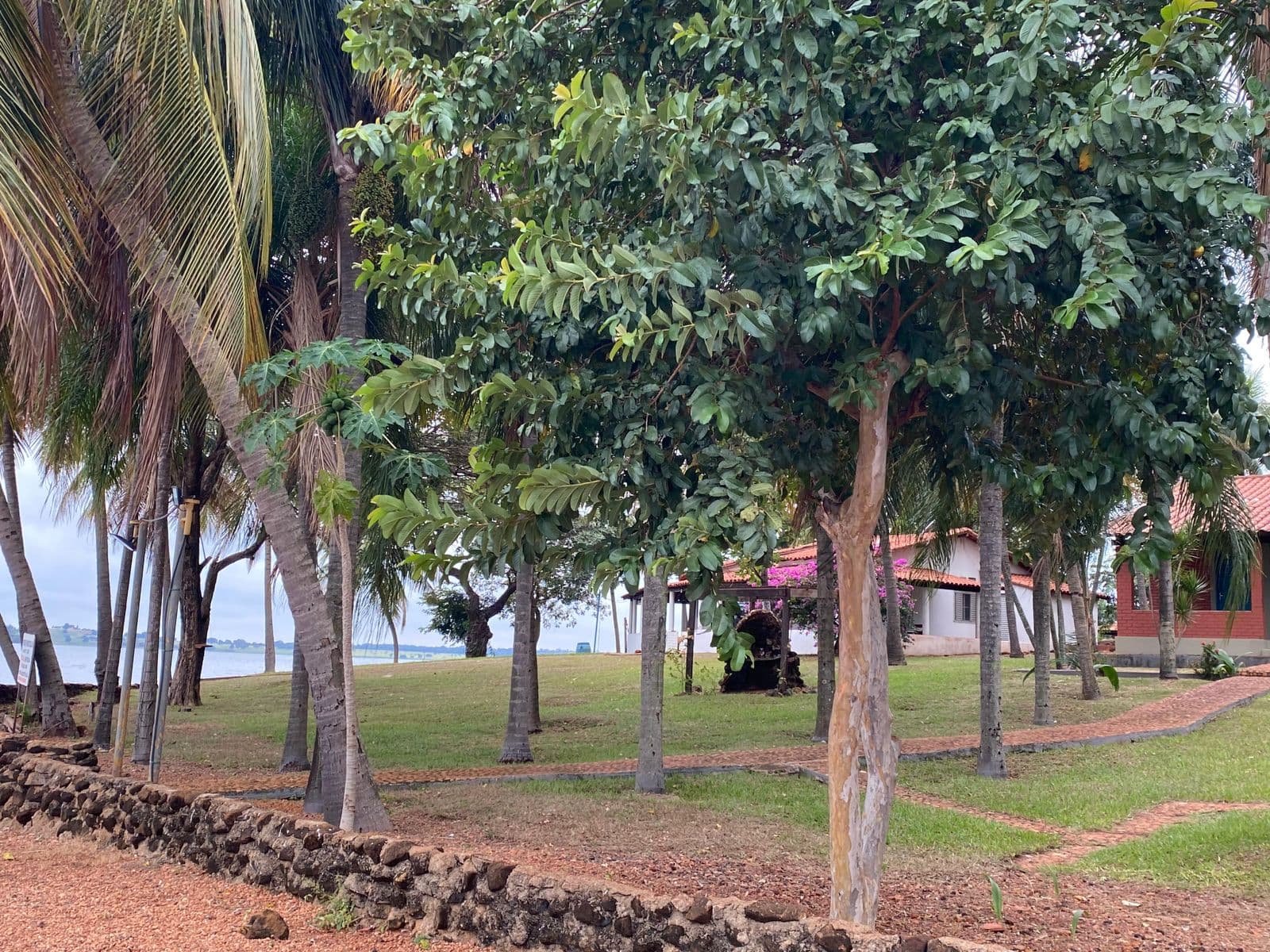 Chacára Ilha no lago de São Simão à venda
