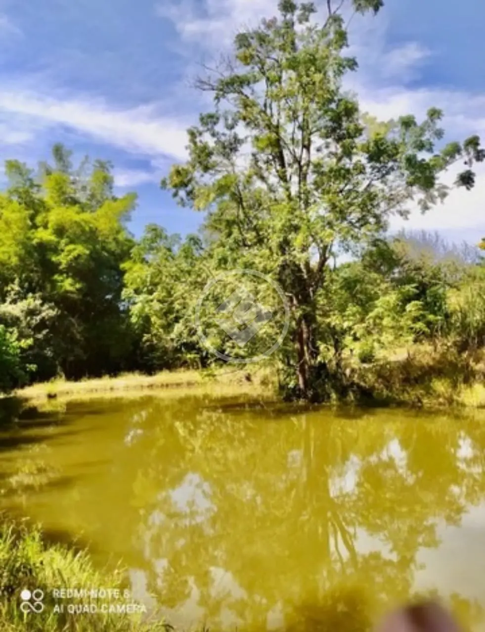 FAZENDA de 36.1 ALQUEIRES  MUNICÍPIO DE SÃO MIGUEL DE PASSA QUATRO codigo: 94549