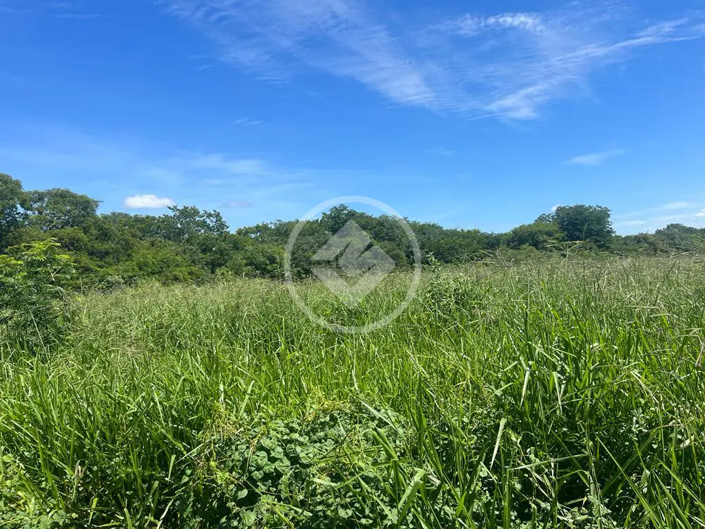 Fazenda Rompe Gibão - Próximo a Jaiba MG codigo: 89579
