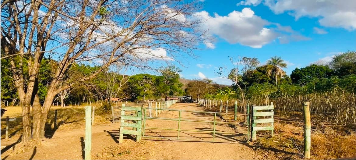 Fazenda de dupla aptidão em Palmeiras de Goiás