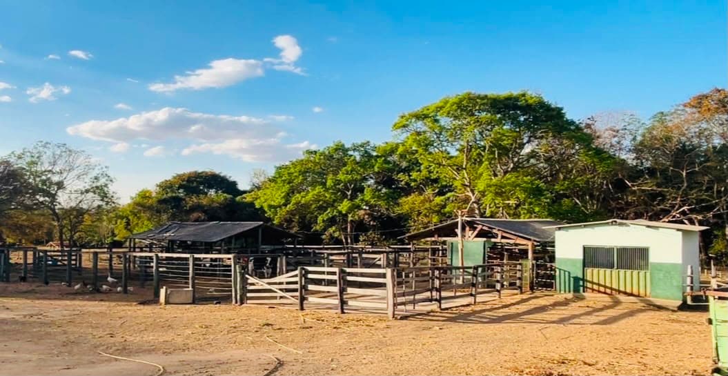 Fazenda de dupla aptidão em Palmeiras de Goiás