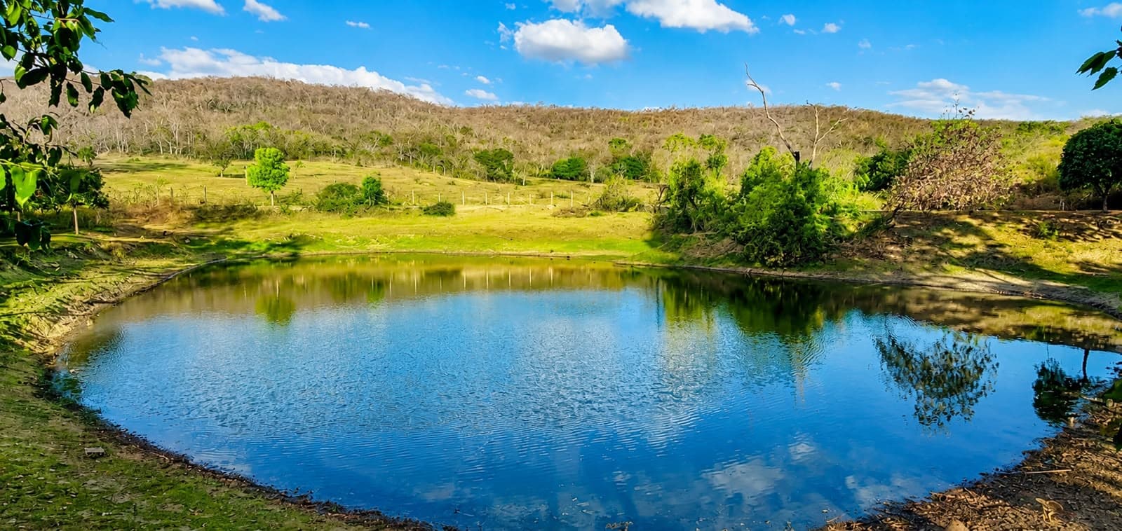 Fazenda de dupla aptidão em Palmeiras de Goiás