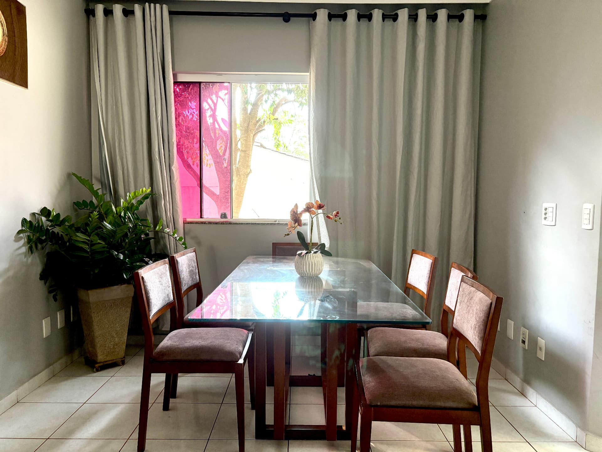 Casa com 1 suíte à venda no Setor Alice Barbosa próximo à UFG